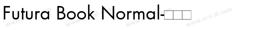 Futura Book Normal字体转换